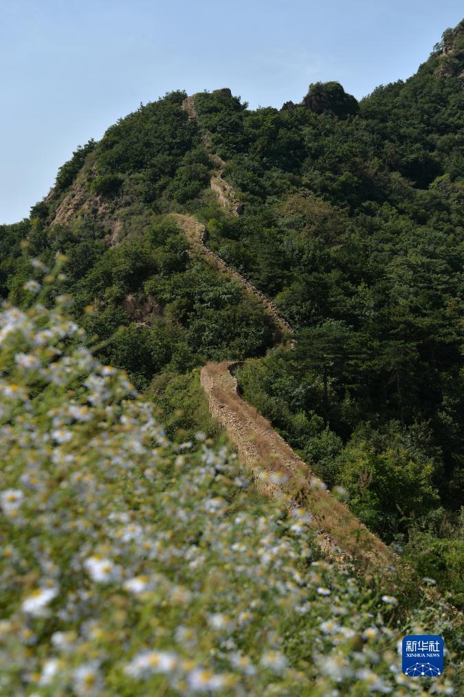 新京葡官网